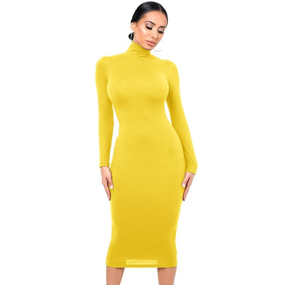 Winter Turtleneck Sexy Women Dress