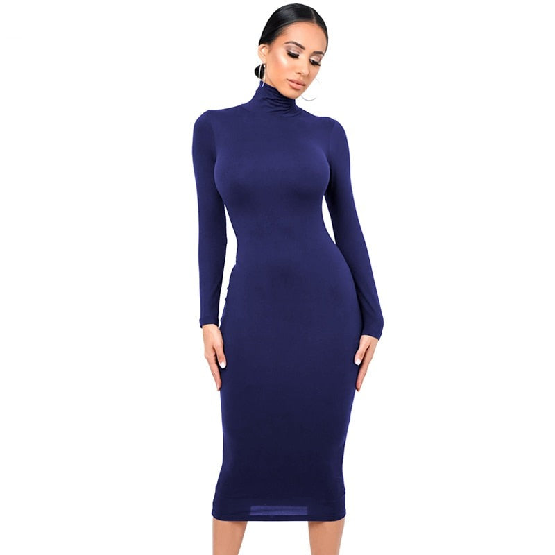 Winter Turtleneck Sexy Women Dress