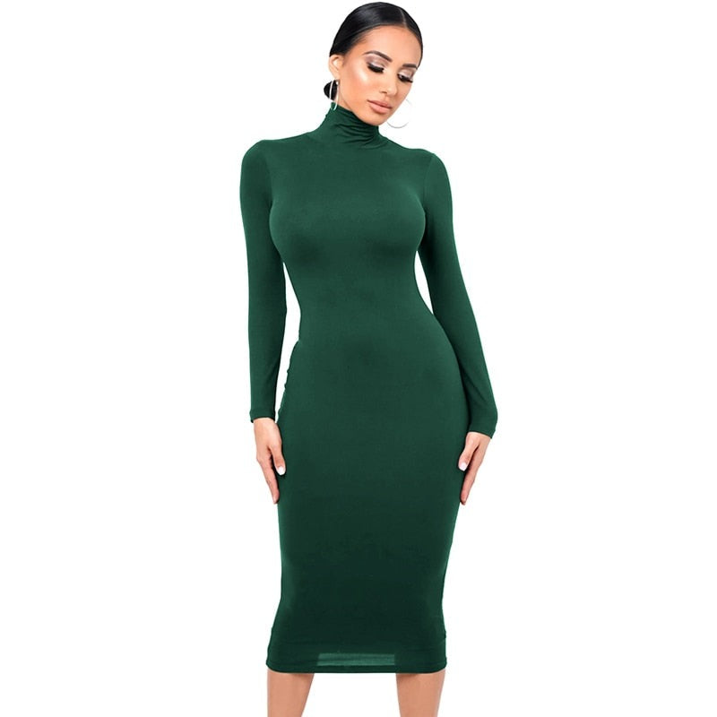 Winter Turtleneck Sexy Women Dress