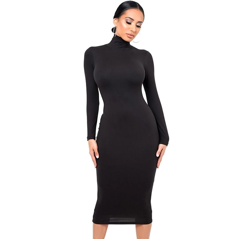 Winter Turtleneck Sexy Women Dress