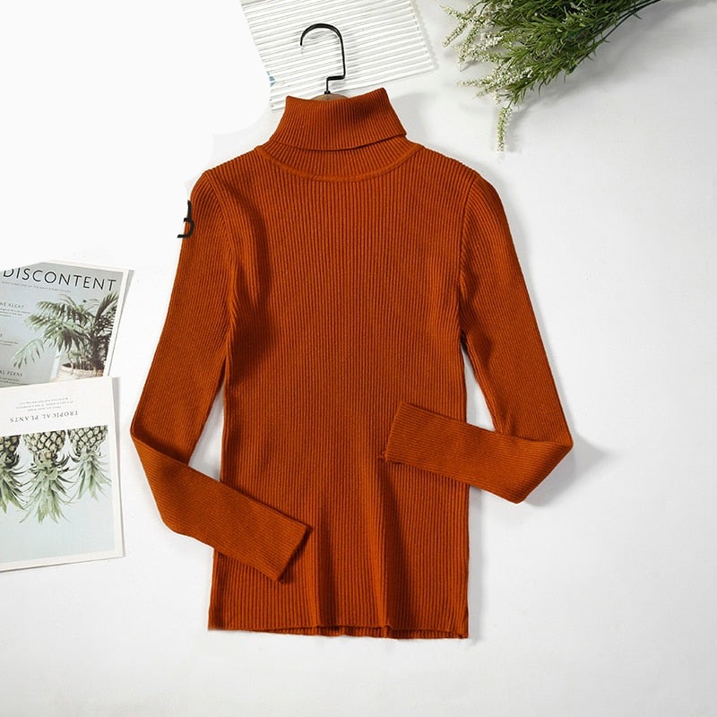 Basic Turtleneck Women Sweaters