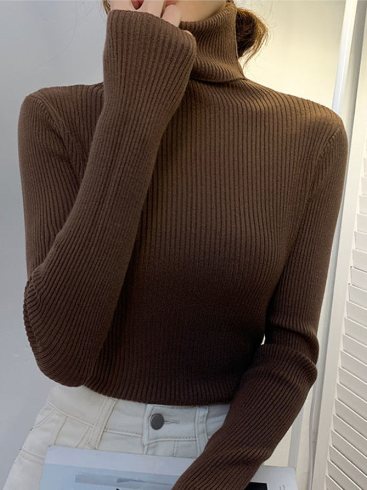 Women's Long Sleeve Pullover Turtleneck Sweater