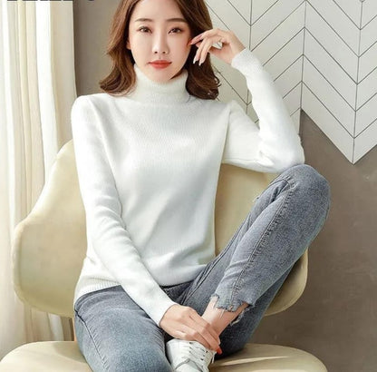 Loose Basic Turtle Neck Winter Sweater