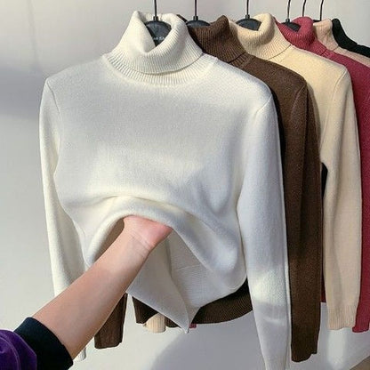 Loose Basic Turtle Neck Winter Sweater