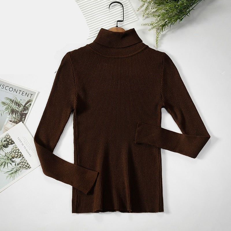 Basic Turtleneck Women Sweaters