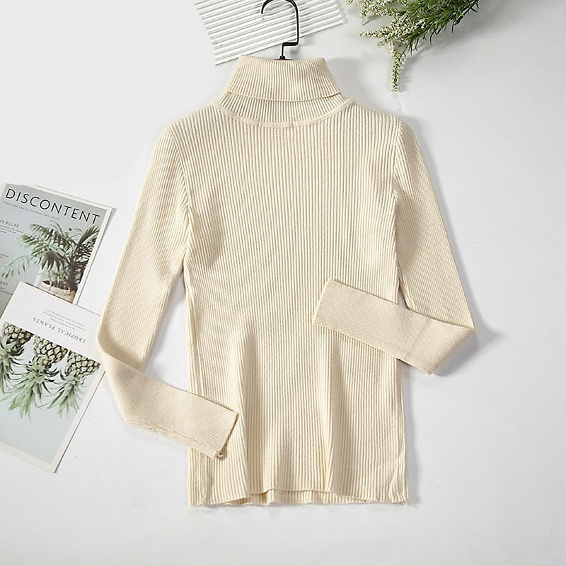 Basic Turtleneck Women Sweaters