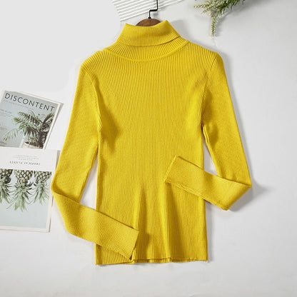 Basic Turtleneck Women Sweaters