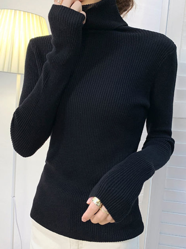 Women's Long Sleeve Pullover Turtleneck Sweater