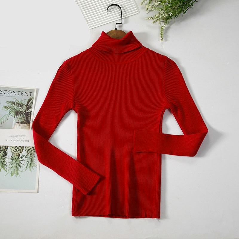 Basic Turtleneck Women Sweaters