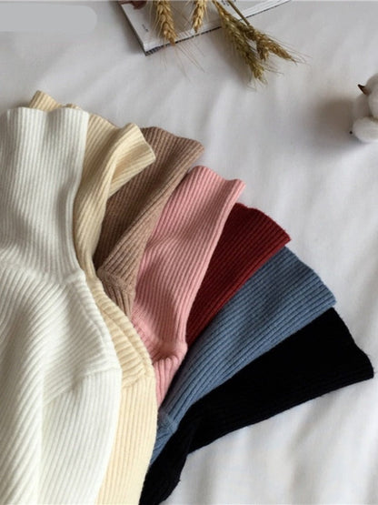 Basic Turtleneck Women Sweaters