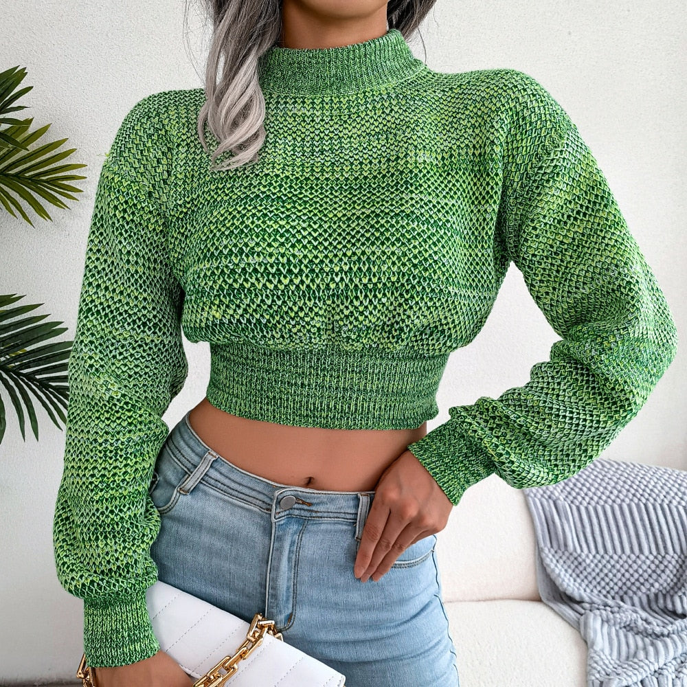 Colorful O Neck Crop Knit Sweater