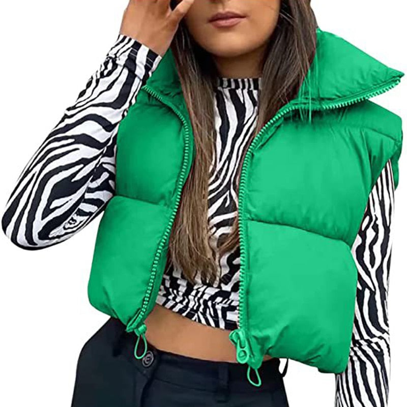 Zip Up Sleeveless Puffy Vest