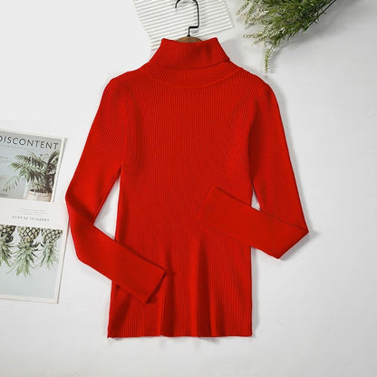 Basic Turtleneck Women Sweaters