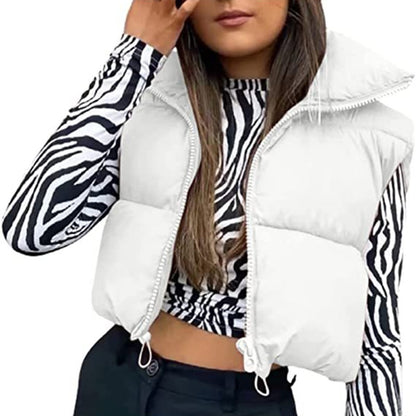 Zip Up Sleeveless Puffy Vest