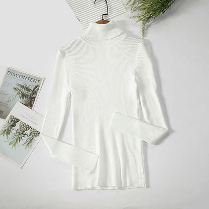 Basic Turtleneck Women Sweaters