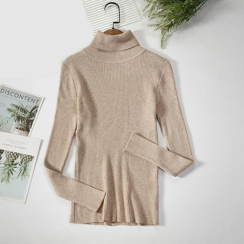 Basic Turtleneck Women Sweaters