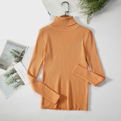 Basic Turtleneck Women Sweaters