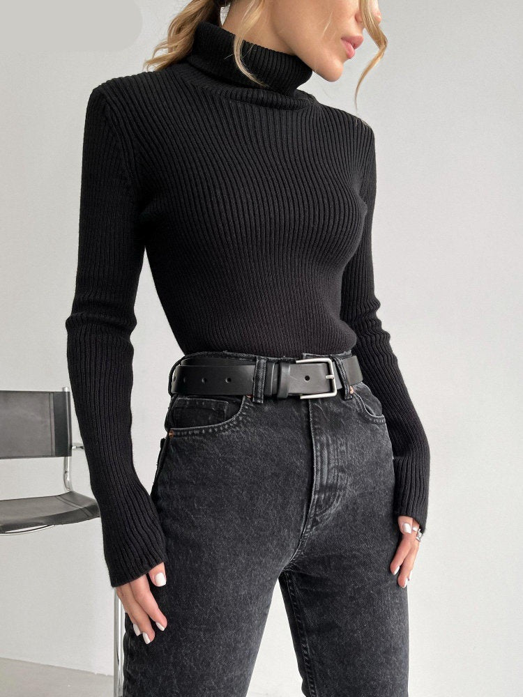 Basic Turtleneck Women Sweaters
