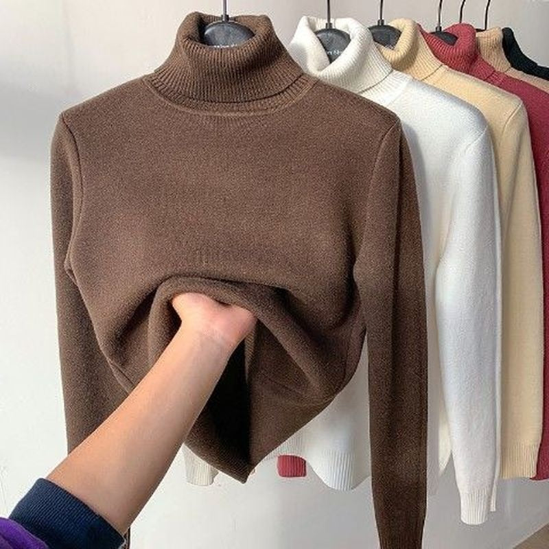 Loose Basic Turtle Neck Winter Sweater