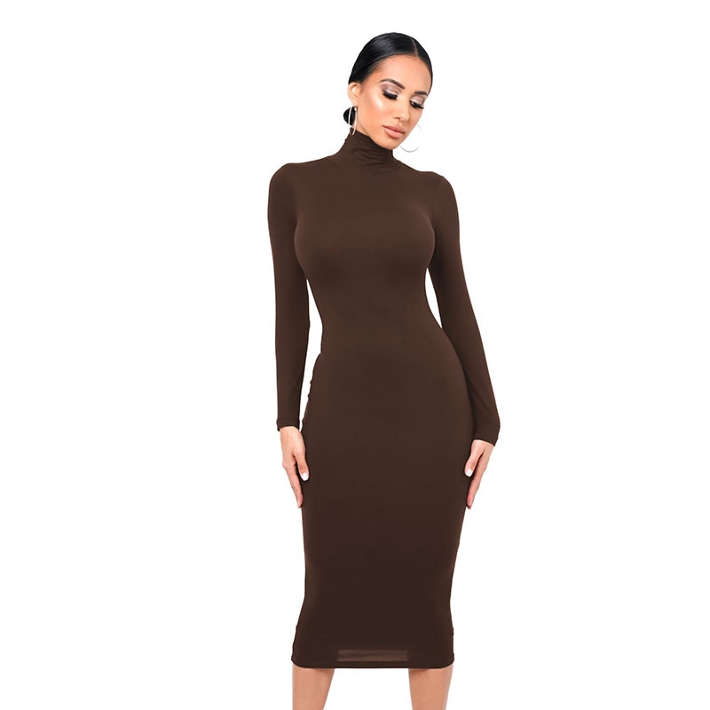 Winter Turtleneck Sexy Women Dress